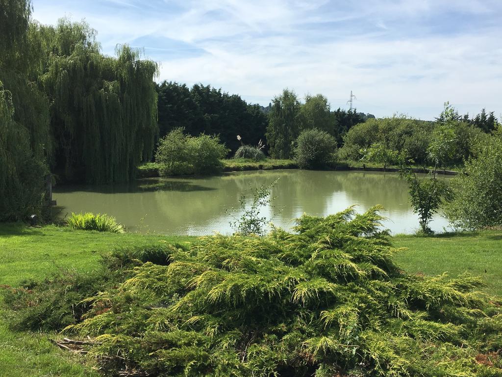 Gites - Domaine De Geffosse Pont-Évêque Zewnętrze zdjęcie
